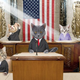 Sen. Creamsicle (D-ND) rails against subsidies to the litter rake industry.